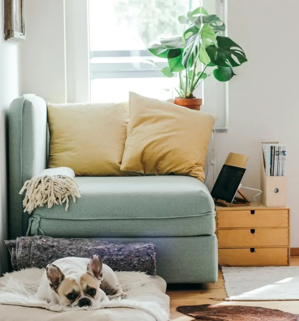 Fonds prévention argile - Un service de l'État